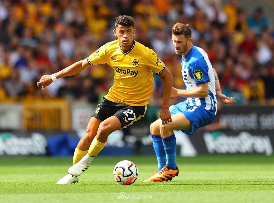 大多数来自 大多数来自